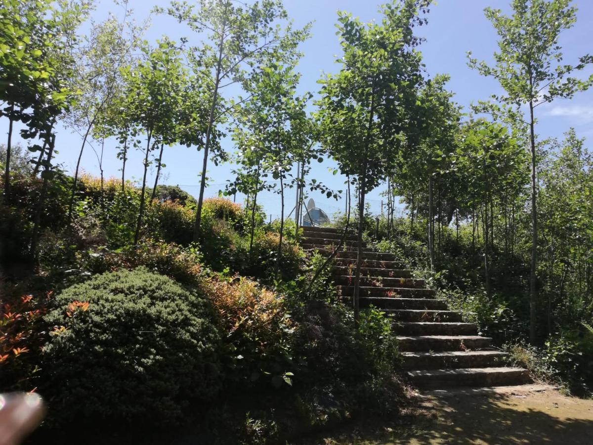 Alojamiento Camino Real 시게이로 외부 사진